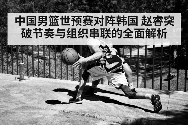 中国男篮世预赛对阵韩国 赵睿突破节奏与组织串联的全面解析